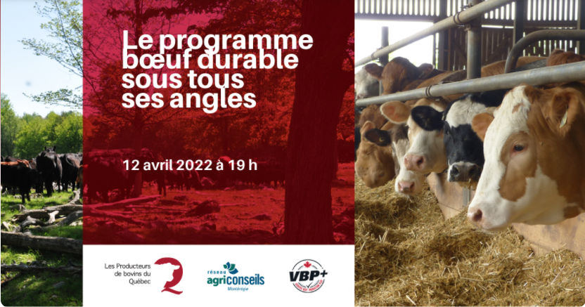 Le programme boeuf durable sous tous ses angles