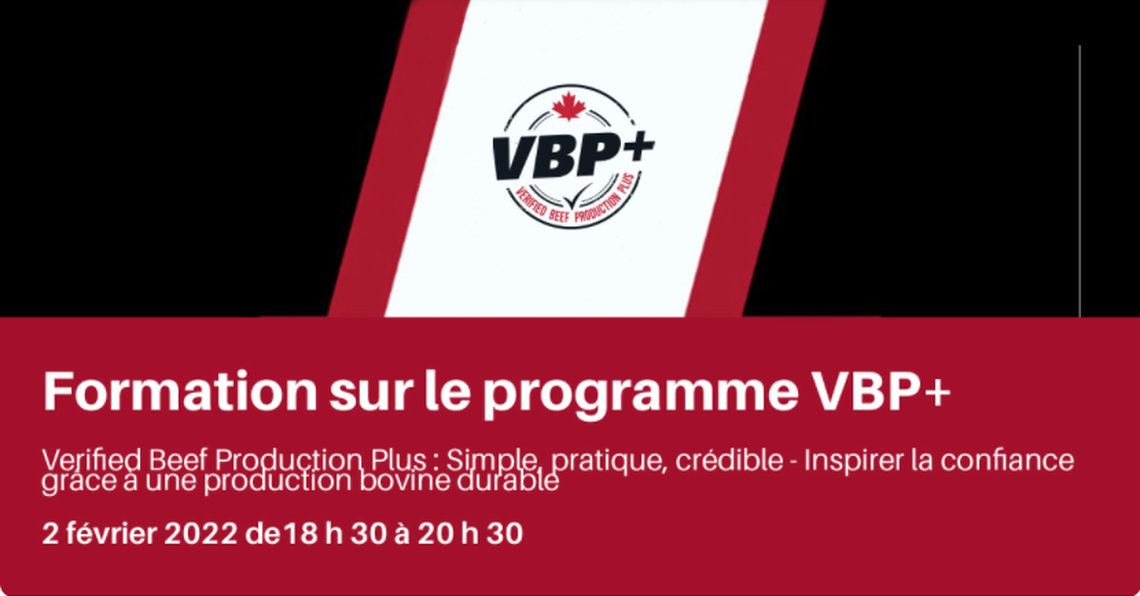 Formation sur le programme VBP+